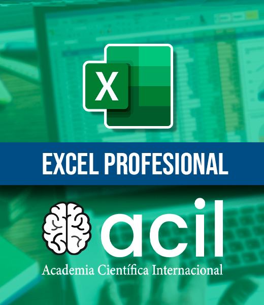 Excel Profesional